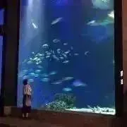 な