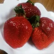 みゆき