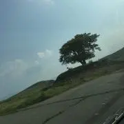 チェリ男☆