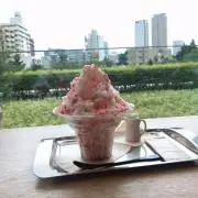 ゆうの画像