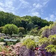 がたおの画像