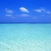 ☆なつ☆の画像
