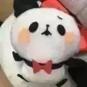 もちもちの画像
