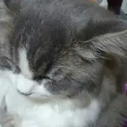 みき～☆暫く発送お休みします☆