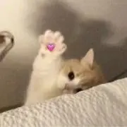 ぬぁの画像