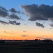 パンの画像