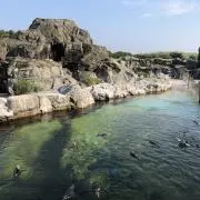 奥田絵美の画像