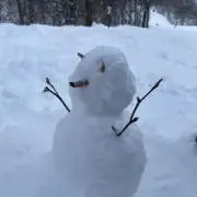 けん