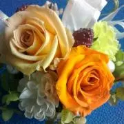 サクラサク ✿即購入大歓迎です★