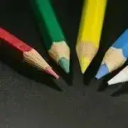 あすなろの画像