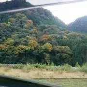 aaa