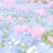 あるちゃんの画像