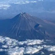 みーすけの画像