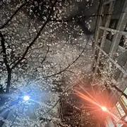 しんすけの画像