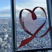 みほ