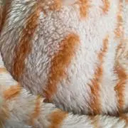 Goem-onの画像