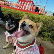IAU^ェ^U