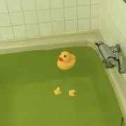 ゆーの画像