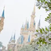 mickeyの画像
