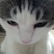 こはる♡丁寧＊即購入OKの画像