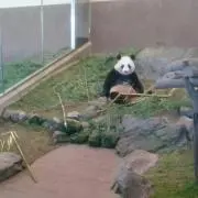 あやちゃん