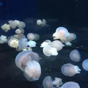 (´・∀・`)