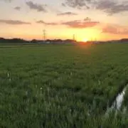 Dmxの画像