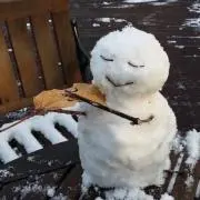 yyの画像