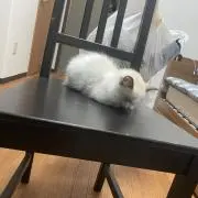 m1ssの画像