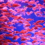 じゃす◆即購入歓迎◆の画像