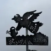 ほだかの画像