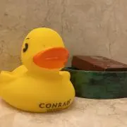 Nの画像