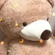れんの画像