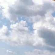 のんすけの画像