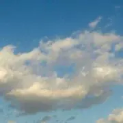 まゆの画像