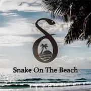 Snake On The Beach