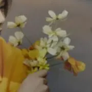 みぃの画像