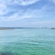 MIKU【即購入OK/2,3日以内対応】の画像