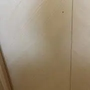しんと