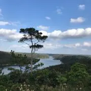 佑の画像