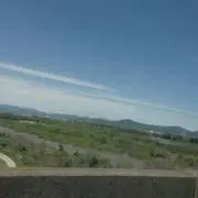 たけ