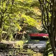 ひちゃこの画像