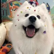 Reの画像