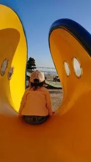peanutsの画像
