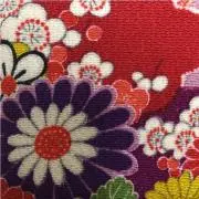 コパコパコパ