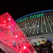 Siの画像