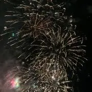 たかぼう