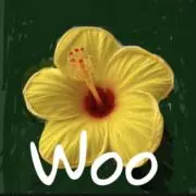 woosummerの画像