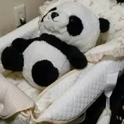 くんパパ
