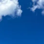はむの画像